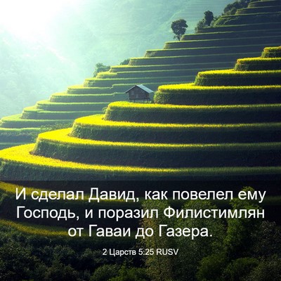 Picture 03 - 2 Царств 5:25 RUSV - И сделал Давид, как повелел - Bible Verse Picture