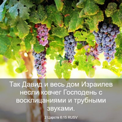 Picture 03 - 2 Царств 6:15 RUSV - Так Давид и весь дом - Bible Verse Picture