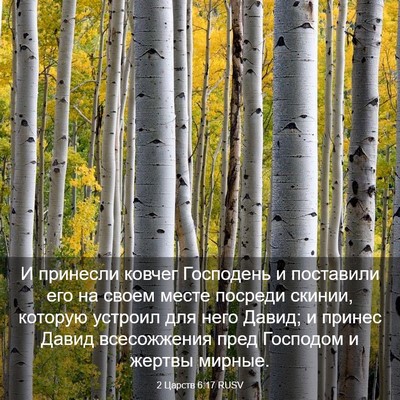 Picture 03 - 2 Царств 6:17 RUSV - И принесли ковчег - Bible Verse Picture