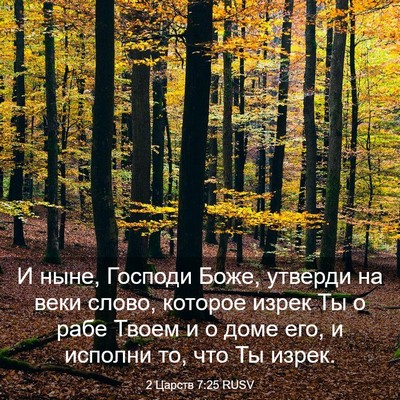 Picture 03 - 2 Царств 7:25 RUSV - И ныне, Господи Боже, - Bible Verse Picture