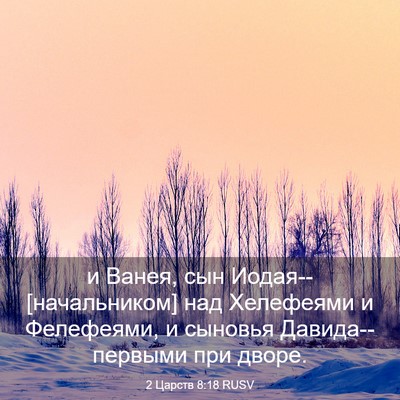 Picture 03 - 2 Царств 8:18 RUSV - и Ванея, сын - Bible Verse Picture