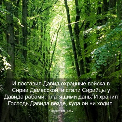 Picture 03 - 2 Царств 8:6 RUSV - И поставил Давид охранные - Bible Verse Picture