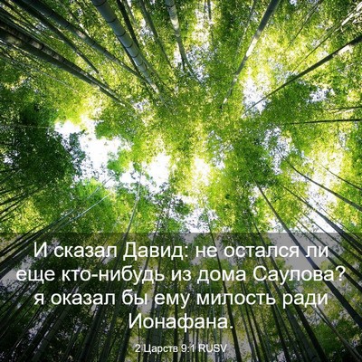Picture 03 - 2 Царств 9:1 RUSV - И сказал Давид: не остался - Bible Verse Picture
