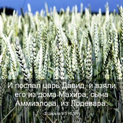 Picture 03 - 2 Царств 9:5 RUSV - И послал царь Давид, и - Bible Verse Picture