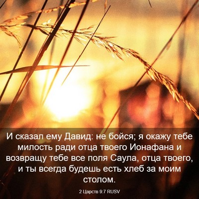Picture 03 - 2 Царств 9:7 RUSV - И сказал ему Давид: не - Bible Verse Picture