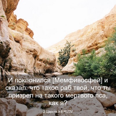 Picture 03 - 2 Царств 9:8 RUSV - И поклонился [Мемфивосфей] - Bible Verse Picture
