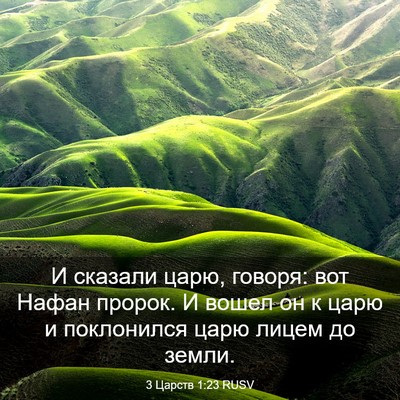 Picture 03 - 3 Царств 1:23 RUSV - И сказали царю, говоря: вот - Bible Verse Picture