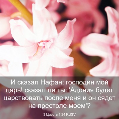 Picture 03 - 3 Царств 1:24 RUSV - И сказал Нафан: господин - Bible Verse Picture