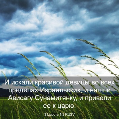 Picture 03 - 3 Царств 1:3 RUSV - И искали красивой девицы - Bible Verse Picture
