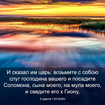 Picture 03 - 3 Царств 1:33 RUSV - И сказал им царь: возьмите - Bible Verse Picture