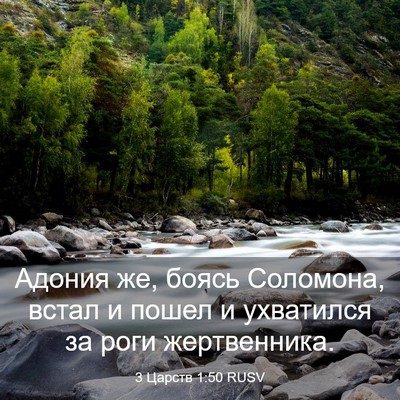Picture 03 - 3 Царств 1:50 RUSV - Адония же, боясь Соломона, - Bible Verse Picture
