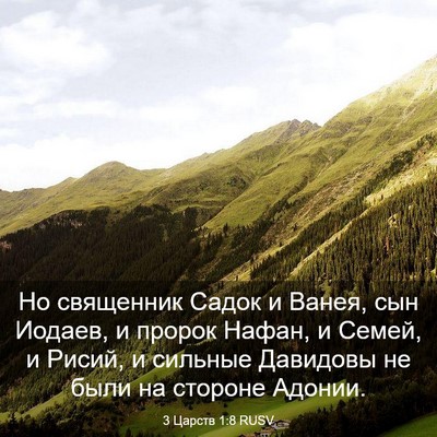 Picture 03 - 3 Царств 1:8 RUSV - Но священник Садок и Ванея, - Bible Verse Picture