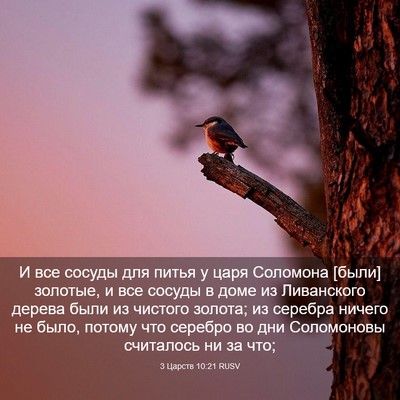 Picture 03 - 3 Царств 10:21 RUSV - И все сосуды для питья у - Bible Verse Picture