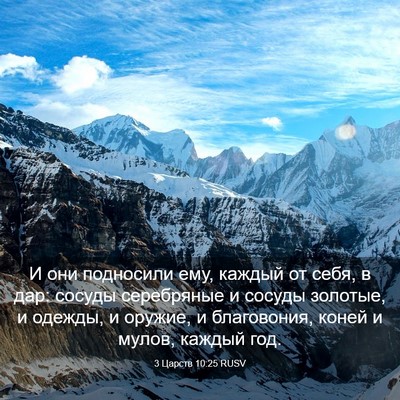 Picture 03 - 3 Царств 10:25 RUSV - И они подносили ему, каждый - Bible Verse Picture