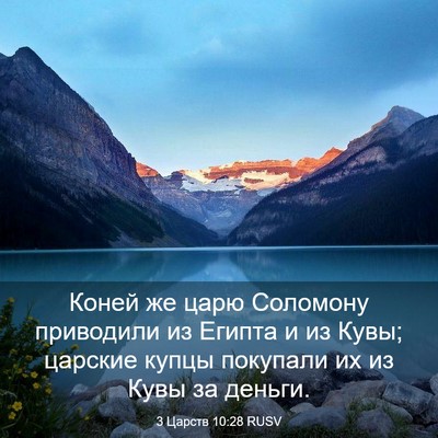 Picture 03 - 3 Царств 10:28 RUSV - Коней же царю Соломону - Bible Verse Picture