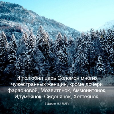 Picture 03 - 3 Царств 11:1 RUSV - И полюбил царь Соломон - Bible Verse Picture