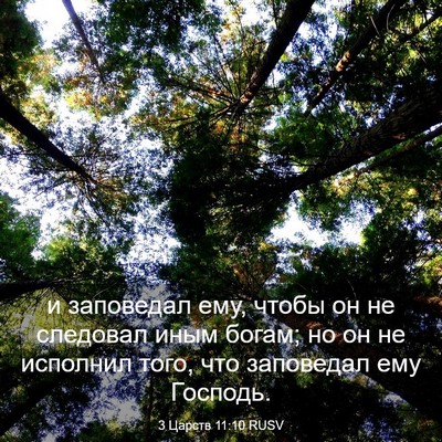 Picture 03 - 3 Царств 11:10 RUSV - и заповедал ему, чтобы он - Bible Verse Picture