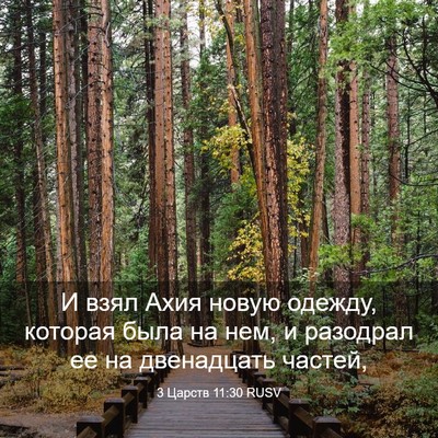 Picture 03 - 3 Царств 11:30 RUSV - И взял Ахия новую одежду, - Bible Verse Picture