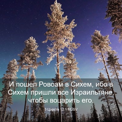 Picture 03 - 3 Царств 12:1 RUSV - И пошел Ровоам в Сихем, ибо - Bible Verse Picture