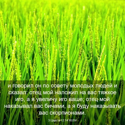 Picture 03 - 3 Царств 12:14 RUSV - и говорил он по совету - Bible Verse Picture