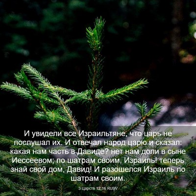 Picture 03 - 3 Царств 12:16 RUSV - И увидели все Израильтяне, - Bible Verse Picture