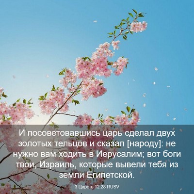 Picture 03 - 3 Царств 12:28 RUSV - И посоветовавшись царь - Bible Verse Picture