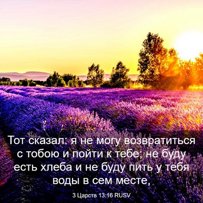 Picture 03 - 3 Царств 13:16 RUSV - Тот сказал: я не могу - Bible Verse Picture