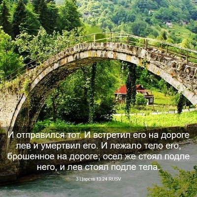 Picture 03 - 3 Царств 13:24 RUSV - И отправился тот. И - Bible Verse Picture