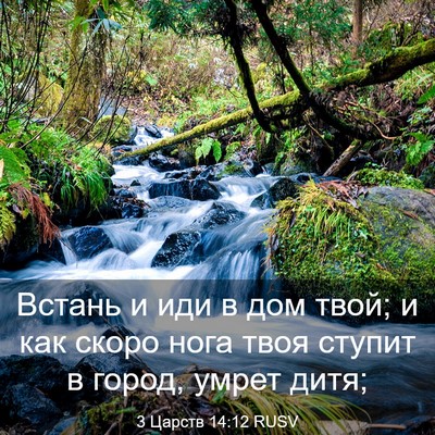 Picture 03 - 3 Царств 14:12 RUSV - Встань и иди в дом твой; и - Bible Verse Picture