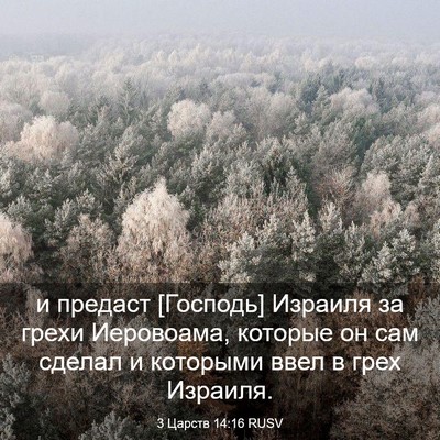 Picture 03 - 3 Царств 14:16 RUSV - и предаст [Господь] Израиля - Bible Verse Picture