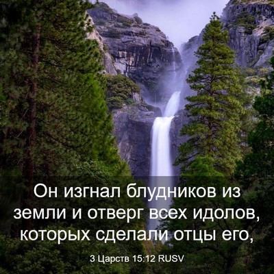 Picture 03 - 3 Царств 15:12 RUSV - Он изгнал блудников из - Bible Verse Picture