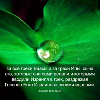 Picture 03 - 3 Царств 16:13 RUSV - за все грехи Ваасы и за - Bible Verse Picture