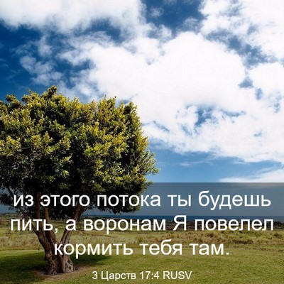Picture 03 - 3 Царств 17:4 RUSV - из этого потока ты будешь - Bible Verse Picture