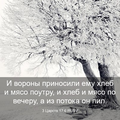 Picture 03 - 3 Царств 17:6 RUSV - И вороны приносили ему - Bible Verse Picture
