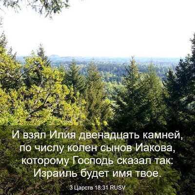 Picture 03 - 3 Царств 18:31 RUSV - И взял Илия двенадцать - Bible Verse Picture