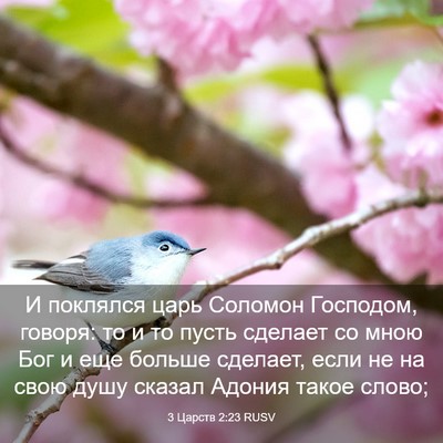 Picture 03 - 3 Царств 2:23 RUSV - И поклялся царь Соломон - Bible Verse Picture