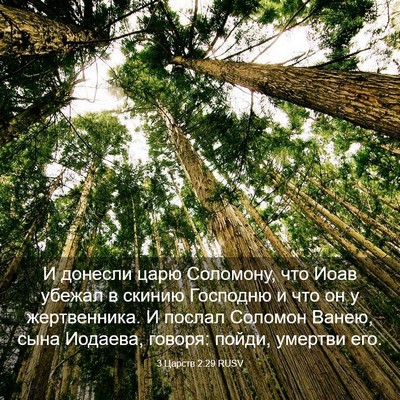 Picture 03 - 3 Царств 2:29 RUSV - И донесли царю Соломону, - Bible Verse Picture