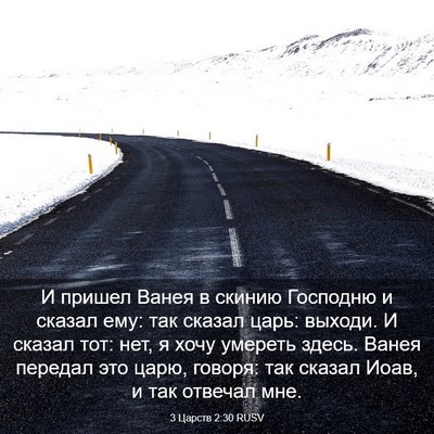 Picture 03 - 3 Царств 2:30 RUSV - И пришел Ванея в скинию - Bible Verse Picture
