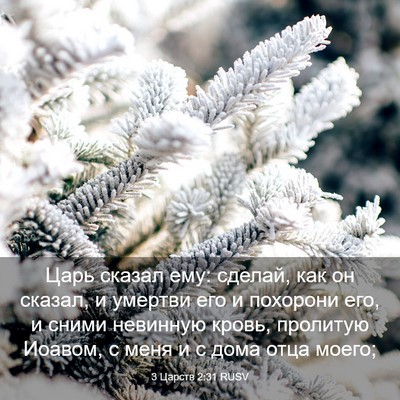 Picture 03 - 3 Царств 2:31 RUSV - Царь сказал ему: сделай, - Bible Verse Picture