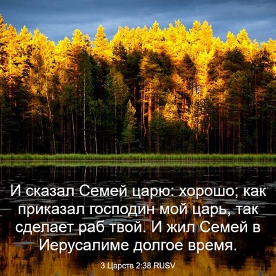 Picture 03 - 3 Царств 2:38 RUSV - И сказал Семей царю: - Bible Verse Picture