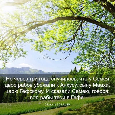 Picture 03 - 3 Царств 2:39 RUSV - Но через три года - Bible Verse Picture