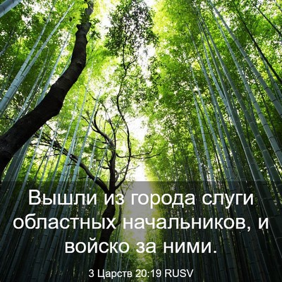 Picture 03 - 3 Царств 20:19 RUSV - Вышли из города слуги - Bible Verse Picture