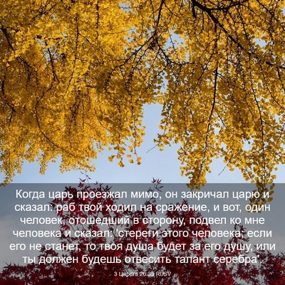Picture 03 - 3 Царств 20:39 RUSV - Когда царь проезжал мимо, - Bible Verse Picture