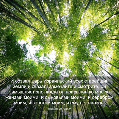 Picture 03 - 3 Царств 20:7 RUSV - И созвал царь Израильский - Bible Verse Picture