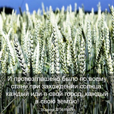 Picture 03 - 3 Царств 22:36 RUSV - И провозглашено было по - Bible Verse Picture
