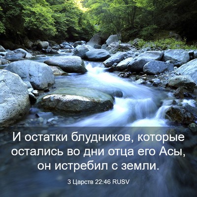 Picture 03 - 3 Царств 22:46 RUSV - И остатки блудников, - Bible Verse Picture