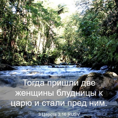 Picture 03 - 3 Царств 3:16 RUSV - Тогда пришли две женщины - Bible Verse Picture