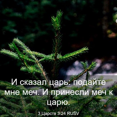 Picture 03 - 3 Царств 3:24 RUSV - И сказал царь: подайте мне - Bible Verse Picture