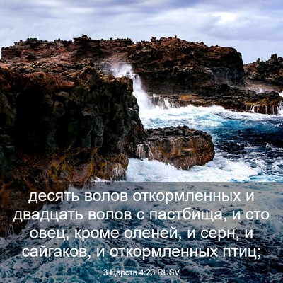 Picture 03 - 3 Царств 4:23 RUSV - десять волов откормленных - Bible Verse Picture