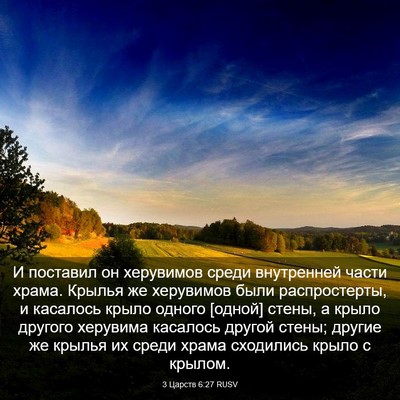 Picture 03 - 3 Царств 6:27 RUSV - И поставил он херувимов - Bible Verse Picture